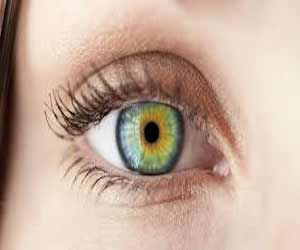 Indian Researchers unravel Biochemical Principles of Retinoblastoma in new study