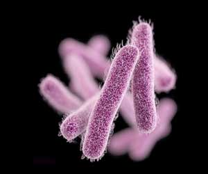 New drug shows promising results to combat deadly superbug Candida auris