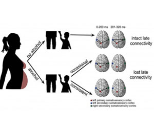 Even small amount of alcohol during pregnancy may impair foetal cognitive ability