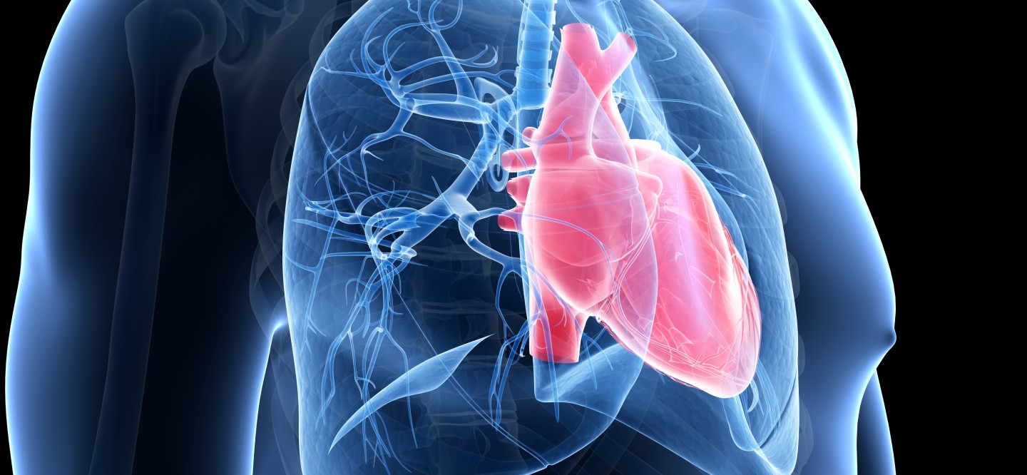 100 mg dose of Sitaxsentan orally once daily boosts exercise capacity and WHO FC in PAH patients with low hepatic toxicity