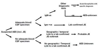 Guideline for Management of Acute Encephalitis Syndrome: Ministry of Health & Family Welfare