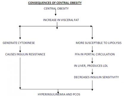 Effect of Obesity on Womens Health- Dr Rajeshwari Laxman Khyade