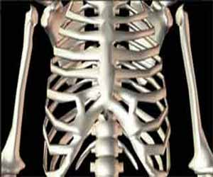 Bisphosphonates prevent rebound bone decay due to discontinuation of denosumab in Osteoporosis 