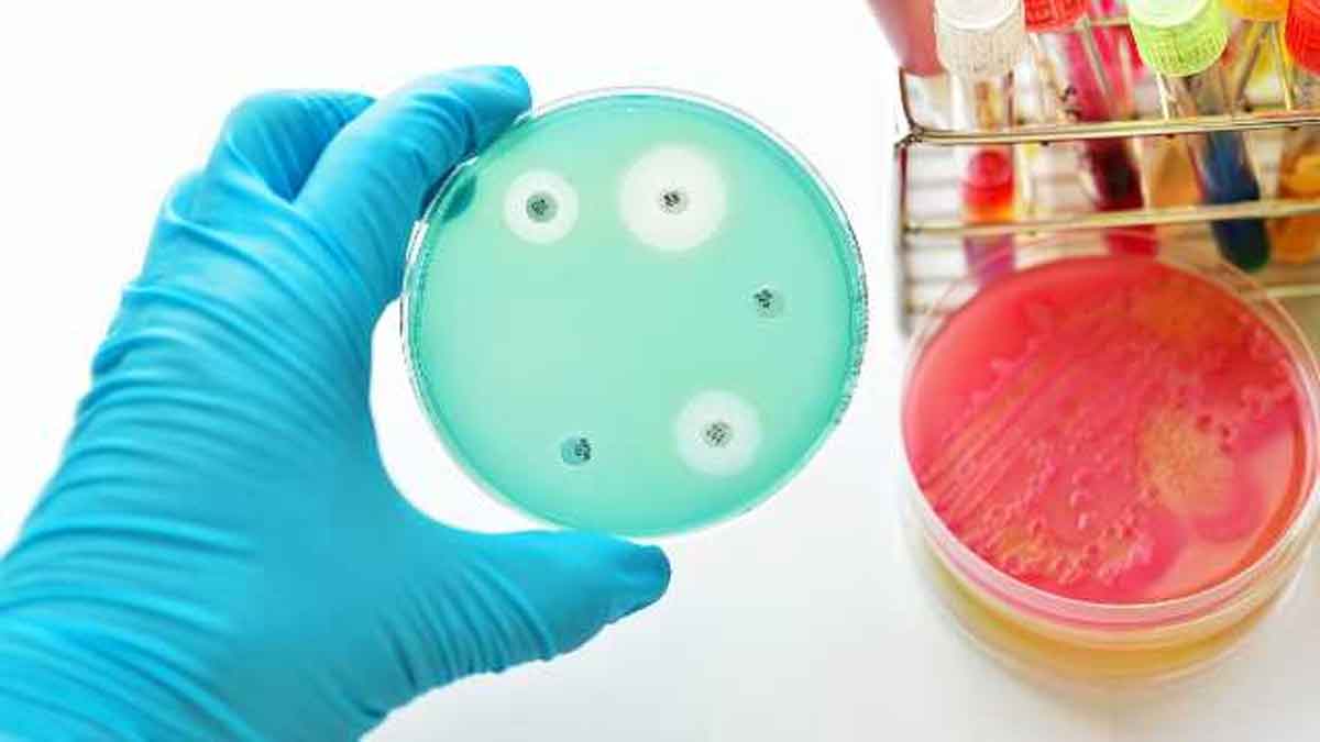 Study decodes how bacteria develop antibiotic resistance