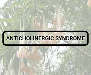 Anticholinergic toxicity due to accidental ingestion of Brugmansia suaveolens leaves : a report